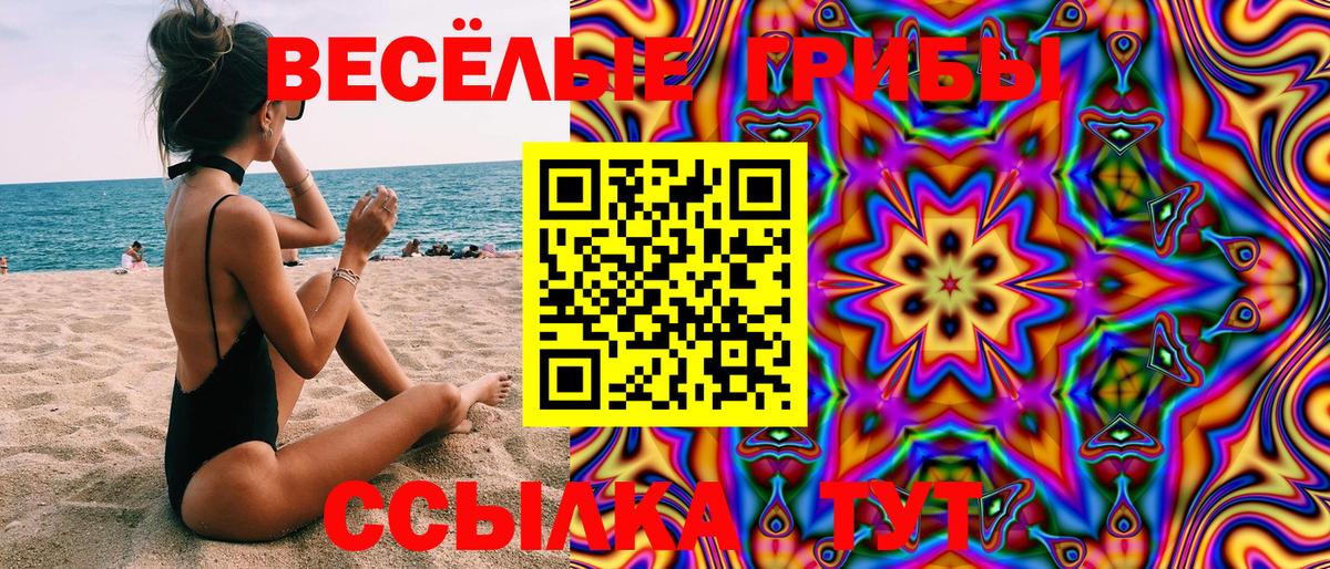 Кунгур  Галлюциногенные грибы GOLDEN TEACHER  Псилоцибиновые грибы Psilocybine cubensis  Вход с VPN 