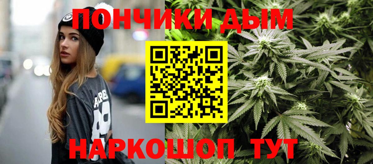 Кунгур  Бошки Шишки планчик  Вход с VPN  Бошки Шишки семена 
